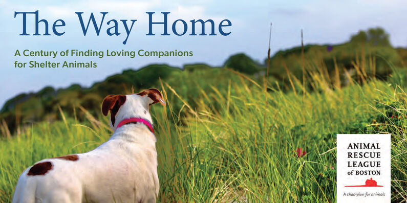 The Way Home web banner