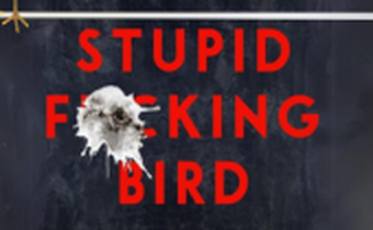 Stupid Fucking Bird 212 x 105 px